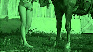 Hairy equus gets pounded in taboo vintage porn