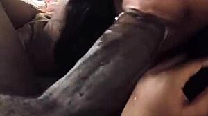 Blowjob deepthroat dengan batang hitam besar oleh gadis hitam amatur