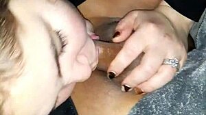 milf blow job with amateurs sucking cock