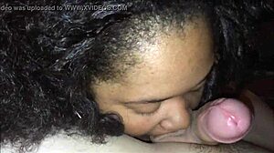 black bbw sucking a white dick