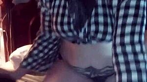 Big White Rooster Struts Proudly