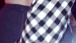 Big White Rooster Struts Proudly