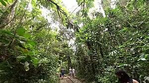 bastidores da viajem e boquete em publico quase fomos pegos esposaheyya - casalheyya