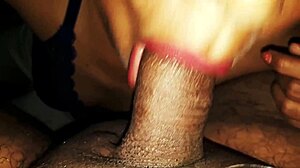 susan gives a blowjob to her brother with sexy red lips, she sucks cock so well