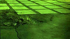 Latina Teen Bound and Milked in BDSM