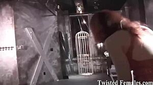 I Will Test Your Loyalty To The Absolute Limit