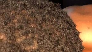 Behind the scenes of a porn actress's job