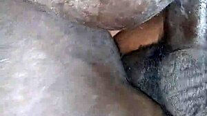 Ms gripper is taking this big dick