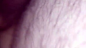 bending my wife over and fucking her while she moans by the open window