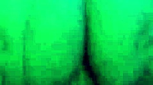 He came in my pussy, am I pregnant now?