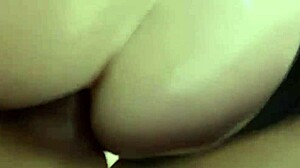 Sasha Beart & Toy Boy