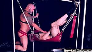 polar bear explores tight gay ass