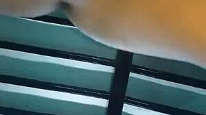 pampa boudi romances husband with big tits