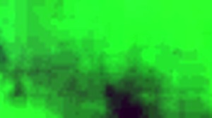 New interracial couple explores connection