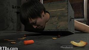 intense sadomasochism fetish porn arousing deep emotions