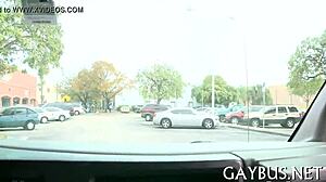 Homosexual Sex Mobile!