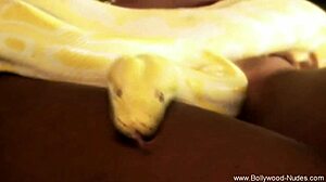 Beautiful Indian Dance To Arouse Audience