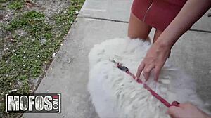 jeanie marie sulivan fucks stranger takes his full load on her face - mofos