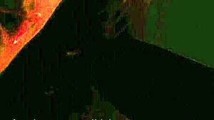 Shy brunette Czech babe Paula masturbates while bound in bondage