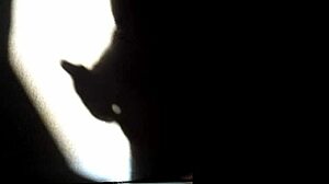 Detailed Shadow Play Masturbation With Intricate Hand Movements And Sensual Touches