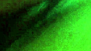 Eating Pussy with Toys and Licks!