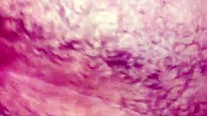 they stretched my tight ass wide open with their cocks