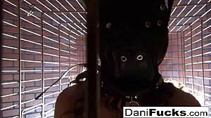 Sexy Dani Daniels A Trapped Bitch Inside A Dog Cage