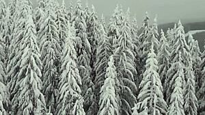 Can this teen babe handle victor bloom's cock?