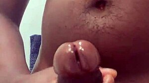 Huge nut in bathroom