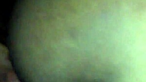 Black Beauty Captured on July 30th