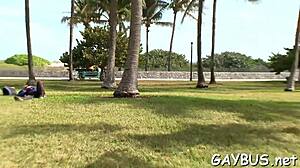 steamy gay bear porn movie scenes with muscular hairy guys getting wild