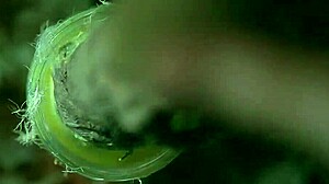 thelifeerotic - brunette raeah plays with dildo in outdoor solo