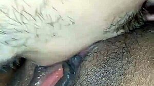 Sucking my wife's delicious pussy