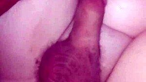 Getting Wild With Friends In Various Adventures And Fun Activities