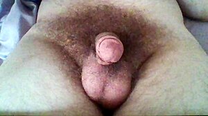 Laying down for hairy penis play