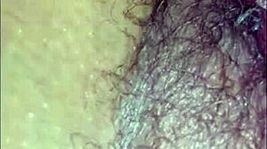 Amateur Compilation!