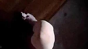 i'm staci in bunny funn