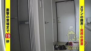 Full Version of 277dcv-161 Available Now