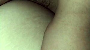 La zorrita de la villa explores neighborhood adventures