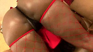 Pinky XXX Gangbangs Big Black Bootys