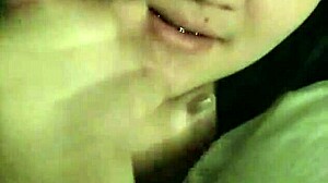 my asian gf sucking my dick