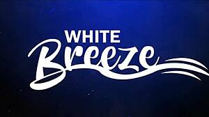 Wbp231 - The Lost Swingset Recordings Nesy