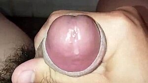 straight boy 18+ owner