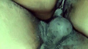 sweet ebony amateur sex compilation