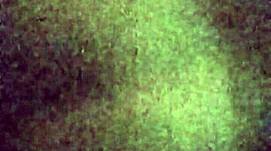 Cumslut Loves Facial