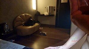 Intensely fucking my friend's wife in a trio with handre and handrea