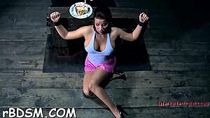 Clamped chick experiences toy discipline intriguingly