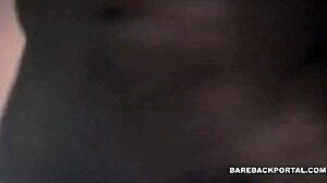 Amateur interracial bareback fucking builds intense passion
