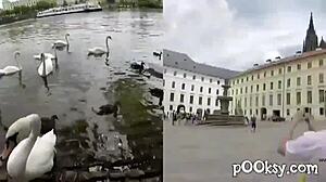 Compilation Of Sluts Part Two By Pooksy