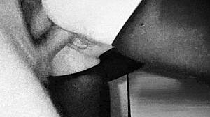 secretary climbs chief's member for annual prize